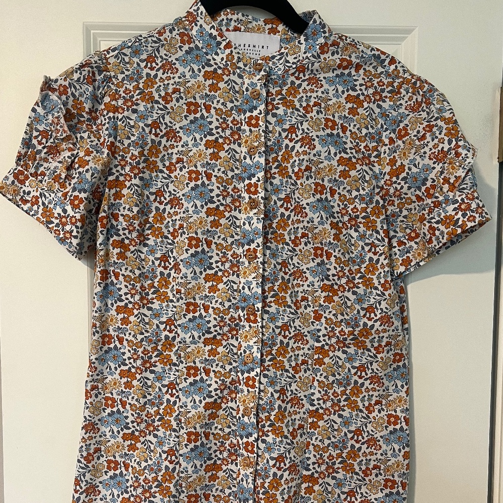 The Shirt by ROCHELLE BEHRENS